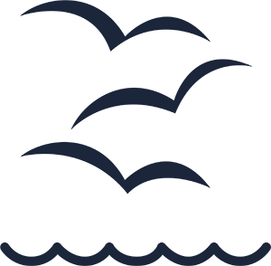 Seagulls Logo